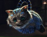 Фотография Толмачёва Данилы