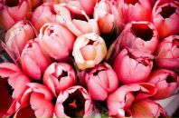 Фотография Кондратьевой Екатерины