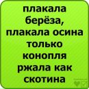 Валерій Мартинюк фотография #45 (источник - https://vk.com/id112985907)