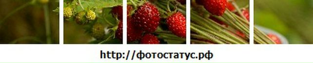 Ілона Панасюк фотография #4 (источник - https://vk.com/id74824424)