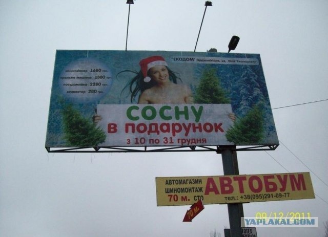 Руслан Цыплаков фотография #33