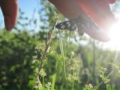 Фотография Галимова Ленара