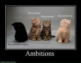 Фотография Истоминой Ирины