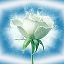 Діма Лотоцький фотография #38 (источник - https://vk.com/id70589525)