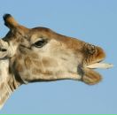 Фотография Почукаевой Марии