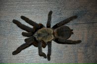 Сергій Момот фотография #46 (источник - https://vk.com/id3990608)