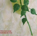 Владік Сарканич фотография #30 (источник - https://vk.com/id154165096)