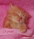 Іринка Ярова фотография #17 (источник - https://vk.com/id140530149)