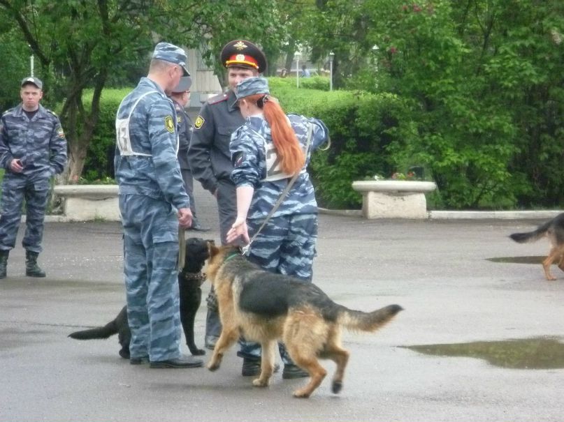 Сергей Ломакин фотография #38