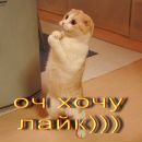 Іруська Дужик фотография #33 (источник - https://vk.com/id154421163)