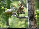Фотография Серкина Андрея