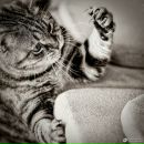 Наталія Маціюк фотография #9 (источник - https://vk.com/id230073220)