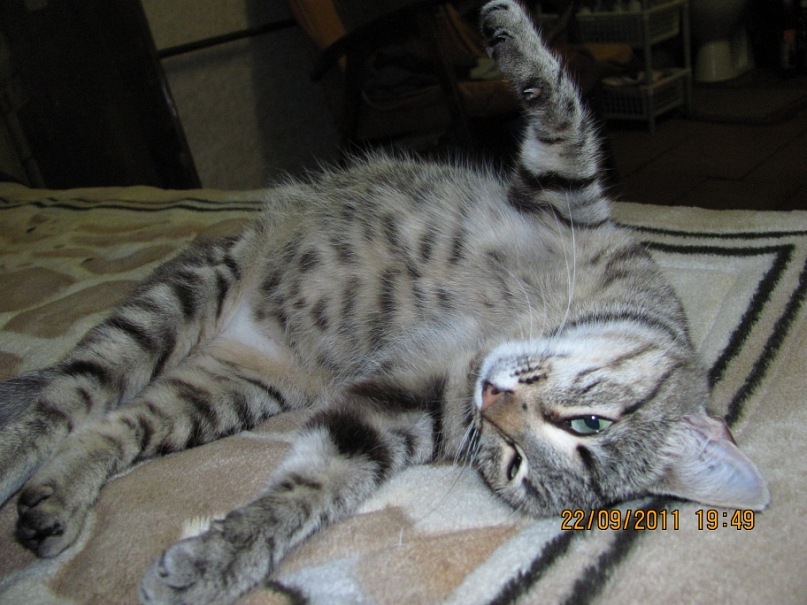 Ольга С фотография #27