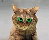 Саня Могіш фотография #42 (источник - https://vk.com/id88297363)