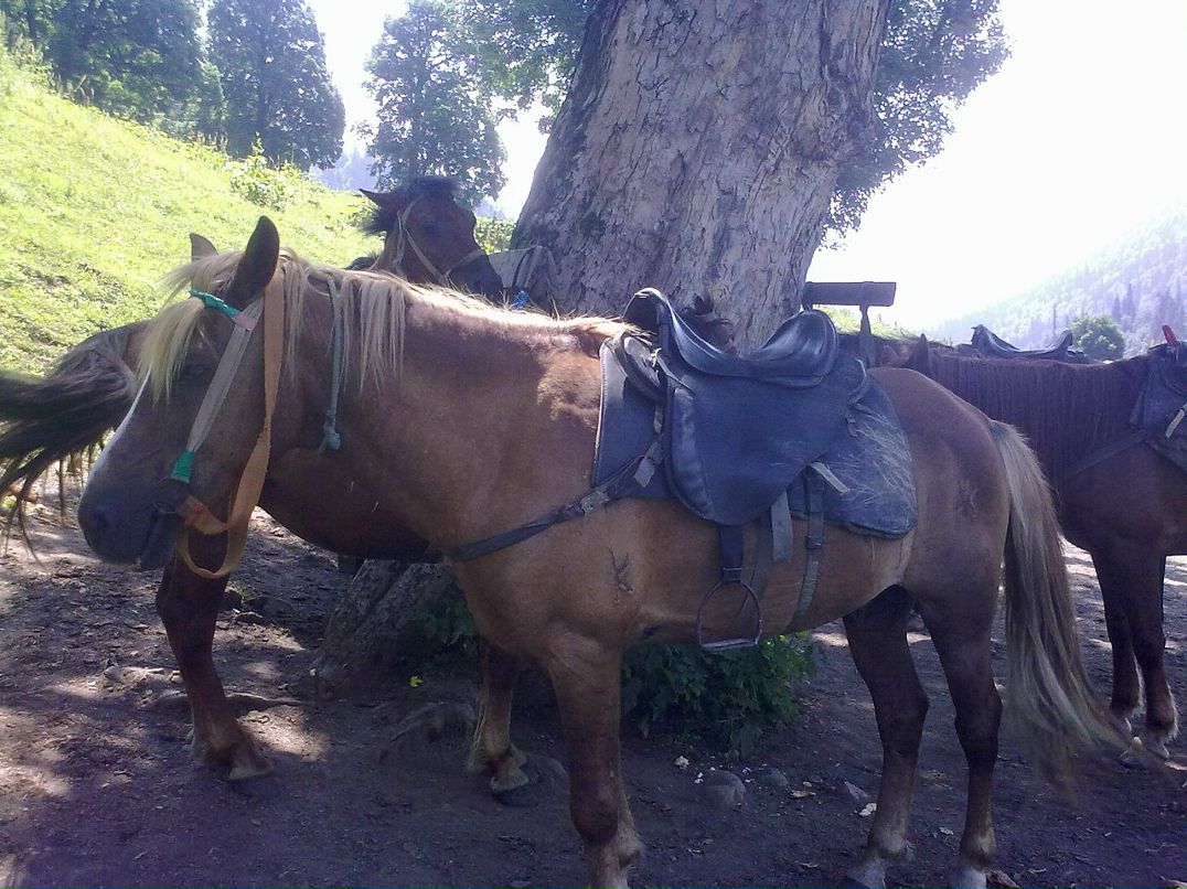 Igor Igor фотография #37