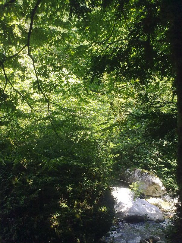 Igor Igor фотография #48