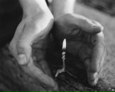 My Flight фотография #43 (источник - https://vk.com/id78839014)