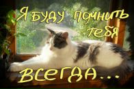 Фотография Карасёвой Татьяны