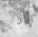 Таня Бородій фотография #4 (источник - https://vk.com/id54677741)