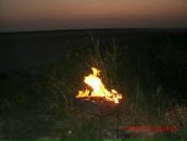 Олексій Домбровський фотография #14 (источник - https://vk.com/id12020175)