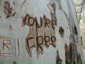 Фотография Барышникова Алексея