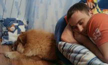 Фотография Pospelova Yana