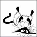 Фотография Садыковой Раисы