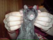 Фотография Кузнецова Сергея