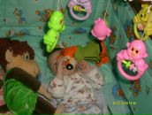 Фотография Табурова Дениса