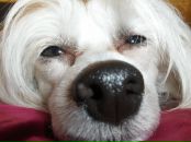 Фотография Михайлов Андрей