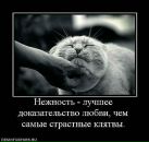 Просто Рамиска=) фотография #8 (источник - https://vk.com/id155554219)