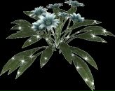 Фотография Чикаловой Галины