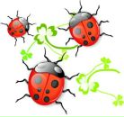 Фотография Алексеевой Татьяны