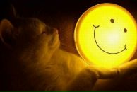 Віктор Потапенко фотография #40 (источник - https://vk.com/id73592012)