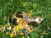 Іннуся Ануфрієва фотография #2 (источник - https://vk.com/id53040006)