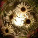 Фотография Репиной Евгении