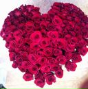 Фотография Однолько Елизаветы