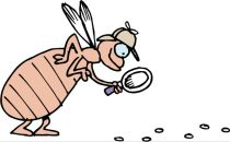 Фотография Куберской Оли