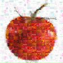 Фотография Wolk Polly