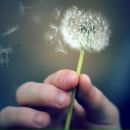 Фотография Антонова Татьяна