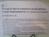 Любава Субботина фотография #8 (источник - https://vk.com/id69171592)