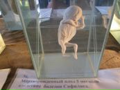Любава Субботина фотография #15 (источник - https://vk.com/id69171592)