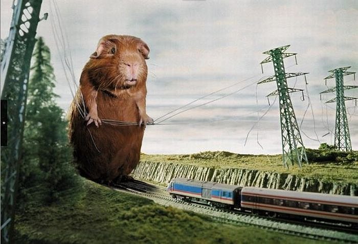 Коля Симаков фотография #4