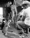 Віталік Герик фотография #30 (источник - https://vk.com/id80953216)