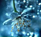 Лідія Подолей фотография #24 (источник - https://vk.com/id93000801)