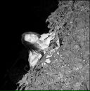 Фотография Викторовны Натальи