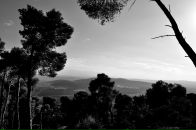 Дмитрий Кулешов фотография #24 (источник - https://vk.com/id1010914)