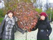 Фотография Селивановой Наташи