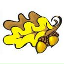 Фотография Богословской Елены