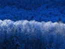Олюся Завідовська фотография #2 (источник - https://vk.com/id101144693)